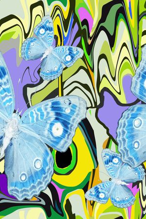 蝴蝶印花华亿平台图片