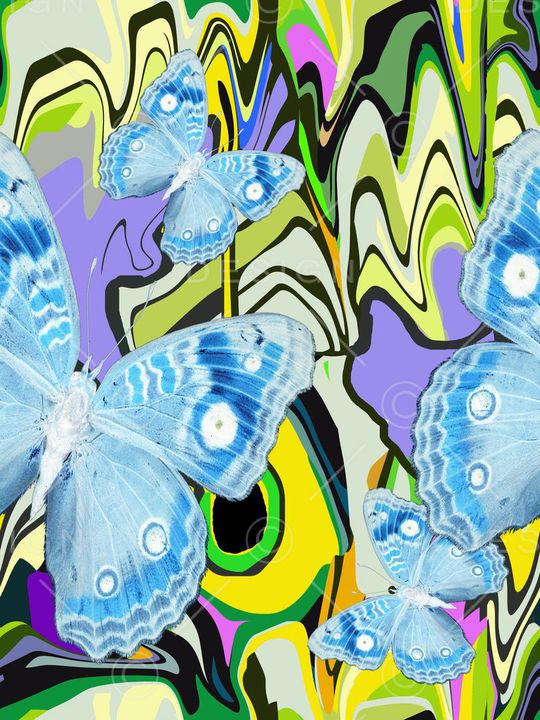 蝴蝶印花华亿平台图片