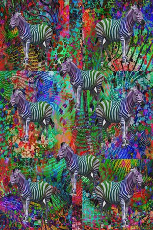 绚丽印花华亿平台图片