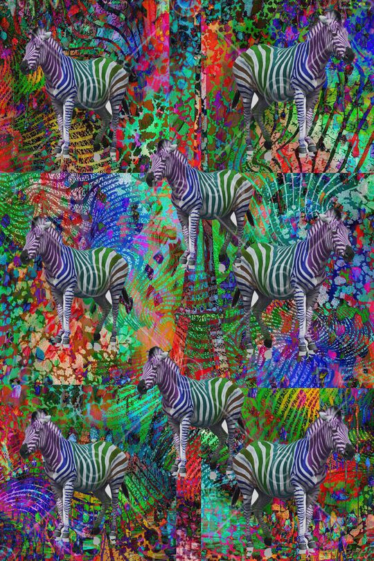 绚丽印花华亿平台图片