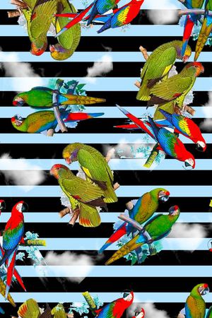 鹦鹉印花华亿平台图片