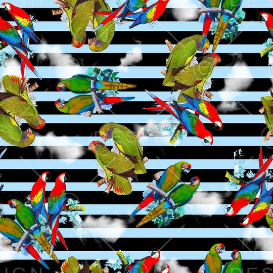 鹦鹉印花华亿平台图片