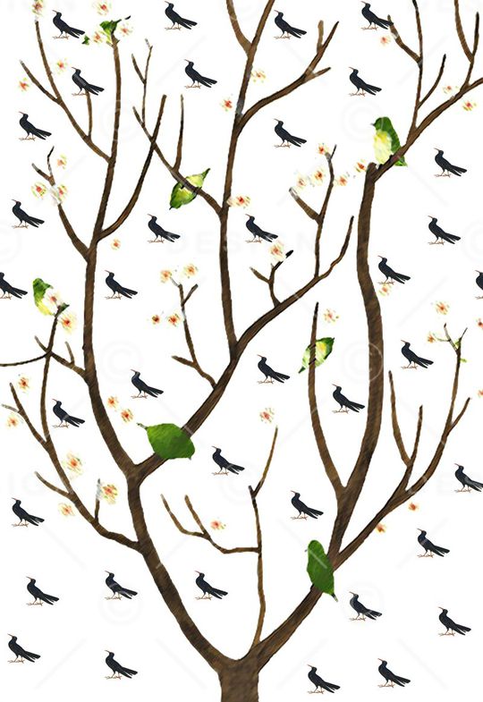 动物印花印花华亿平台图片