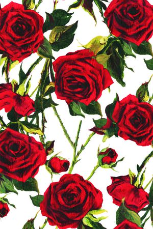 D&G印花华亿平台图片