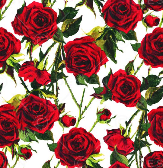 D&G印花华亿平台图片