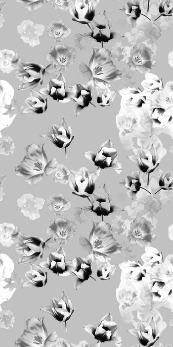 468491-数码华亿平台