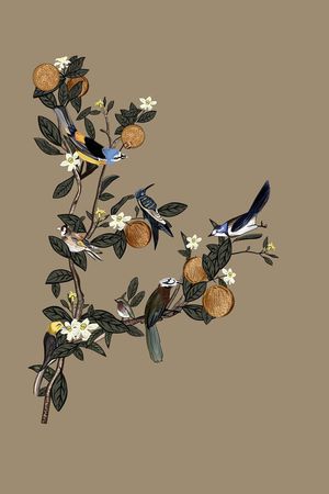 2016SSD&G印花华亿平台图片