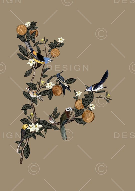 2016SSD&G印花华亿平台图片