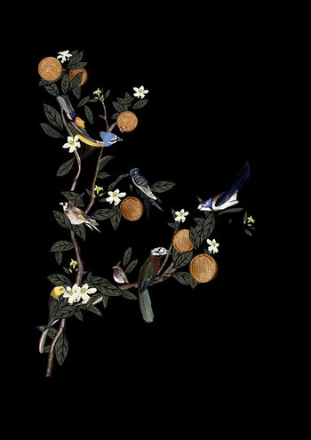 468679-D&G16SS走秀男士T恤卫衣时装