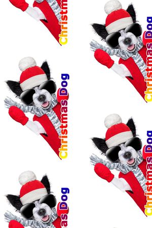 酷帅可爱墨镜狗狗印花华亿平台图片