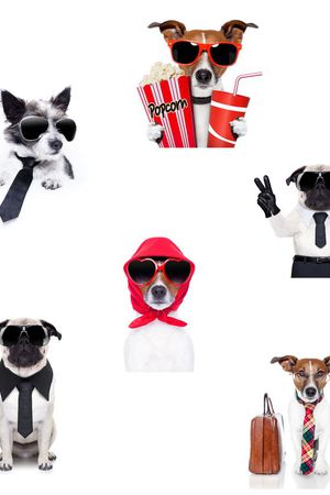 卡通印花华亿平台图片