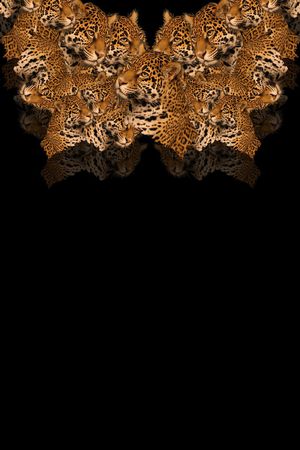 复古印花华亿平台图片