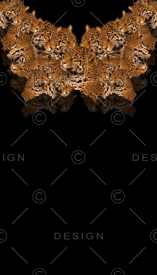 复古印花华亿平台图片