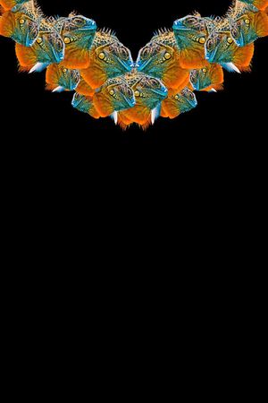 复古印花华亿平台图片