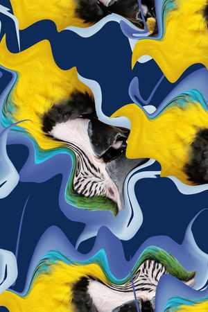 复古印花华亿平台图片