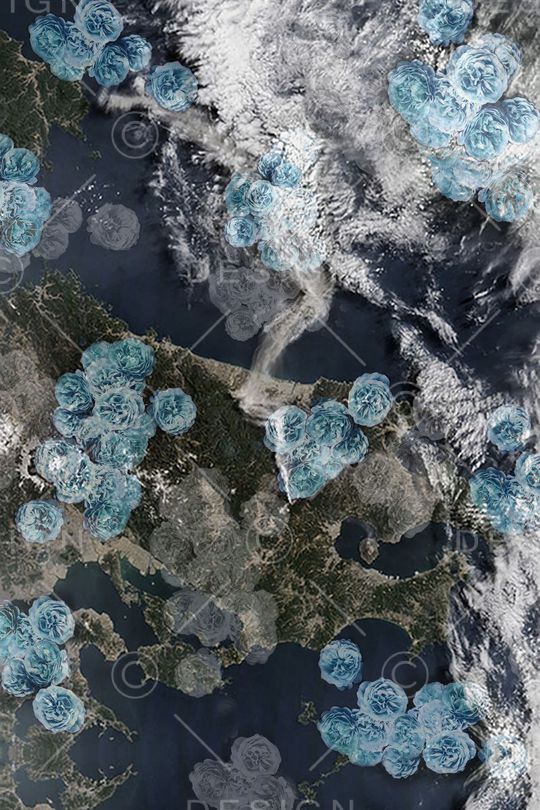 植物玫瑰印花华亿平台图片