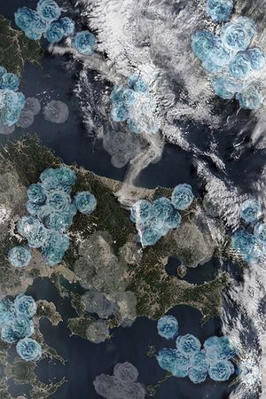 植物玫瑰印花华亿平台图片