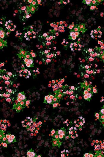 色彩斑斓印花华亿平台图片