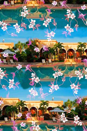 写实印花华亿平台图片