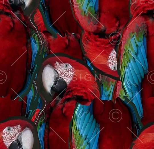 潮流印花华亿平台图片