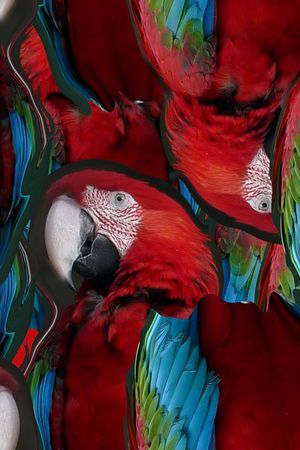 潮流印花华亿平台图片