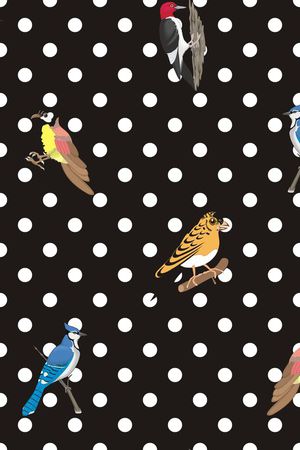 小鸟 树枝 蝴蝶 女装 衬衣 连衣裙 雪纺 印花 几何 碎花 小碎花 大花 方块 衬衫印花 简单 时尚 大牌 潮流印花 女装印花 传统印花 T恤印花 玫瑰花 波点 圆点印花华亿平台图片