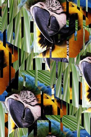 潮流印花华亿平台图片