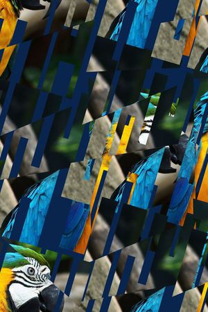 潮流印花华亿平台图片