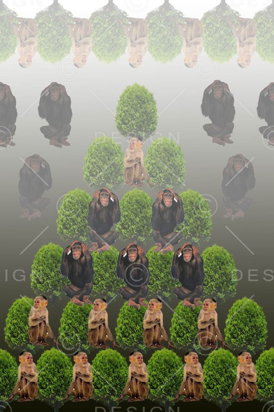 猴子印花华亿平台图片