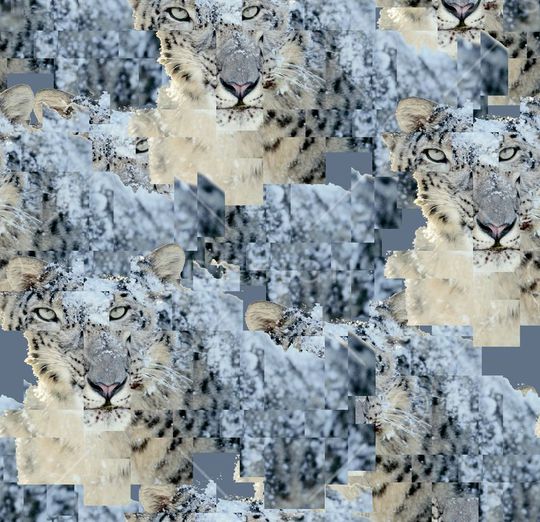 Just Cavalli印花华亿平台图片