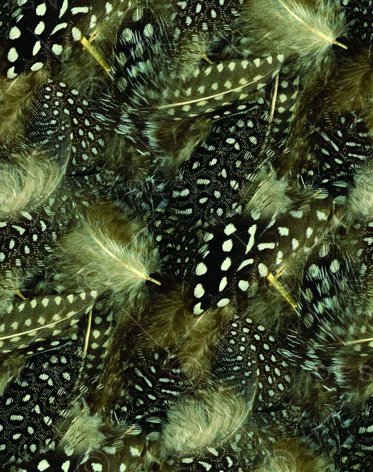 斑点羽毛印花华亿平台图片