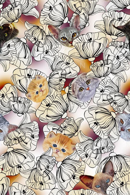 动物印花华亿平台图片