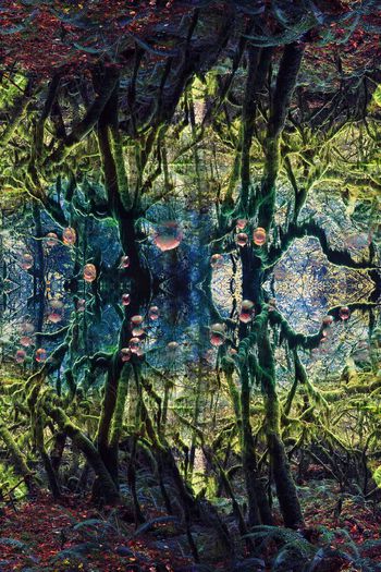 469205-自然肌理 照片景观女士长裙 丝巾长