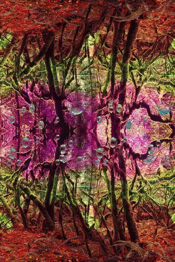 469206-自然肌理 照片景观女士长裙 丝巾长