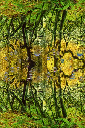 469207-自然肌理 照片景观女士长裙 丝巾长