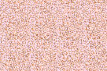 双圈印花华亿平台图片