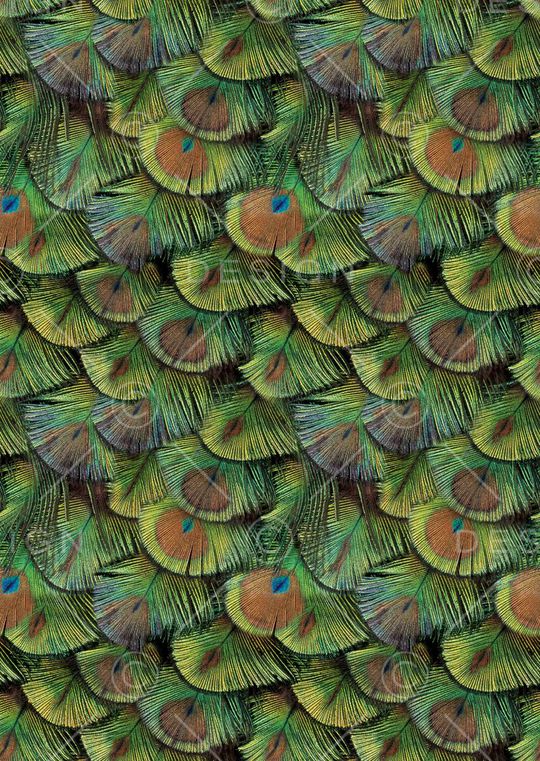 照片景观印花华亿平台图片