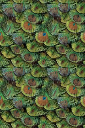 照片景观印花华亿平台图片