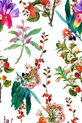 469410-欧美流行时尚手绘花果印花