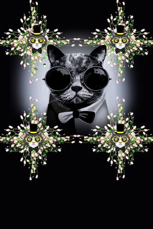 卡通印花华亿平台图片