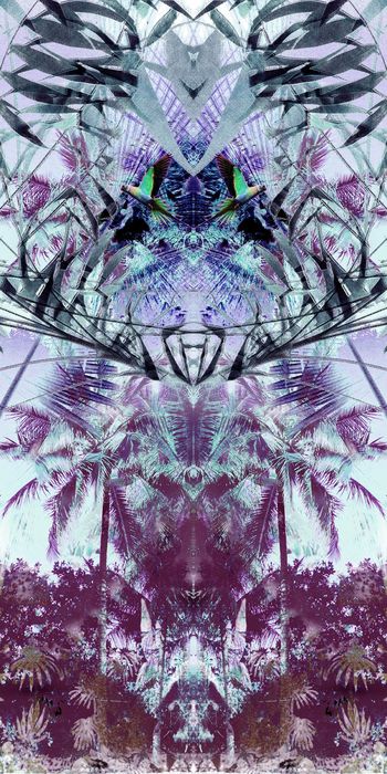 469482-WT490定位对称热带风情休闲假日