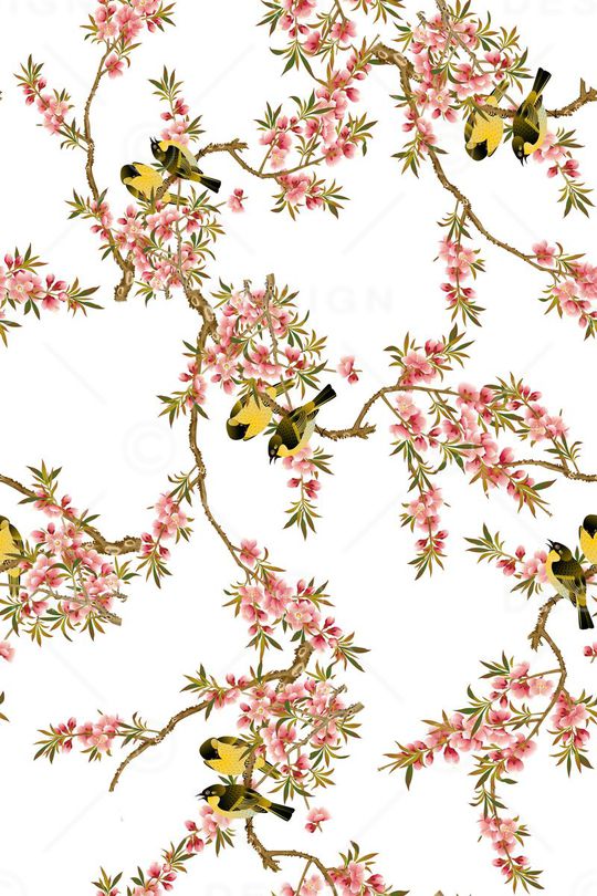 女装印花华亿平台图片