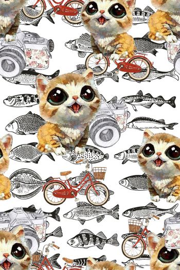 469603-可爱的小猫咪