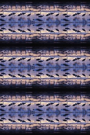 风景印花华亿平台图片