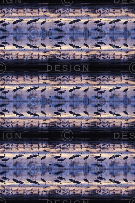 风景印花华亿平台图片