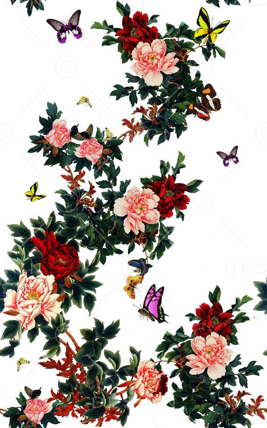 牡丹印花华亿平台图片