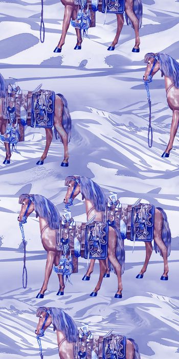 470012-时尚 水彩 马 沙漠   数码 丝