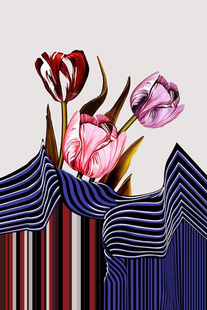 Mary Katrantzou印花华亿平台图片