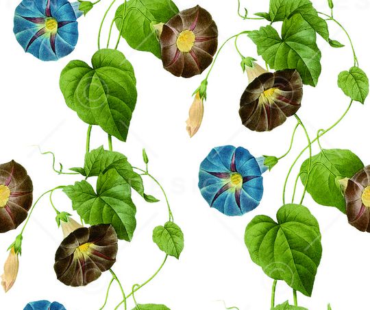 花藤印花华亿平台图片