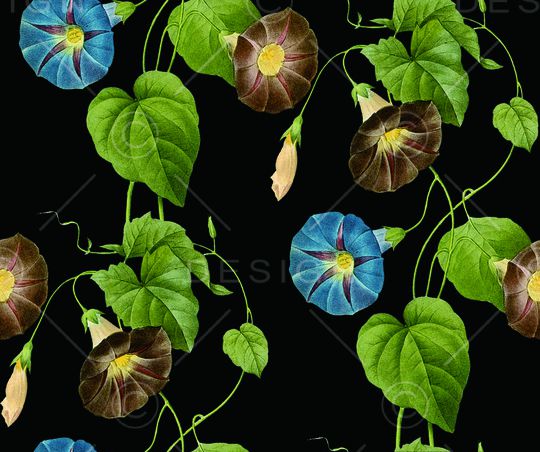 花藤印花华亿平台图片